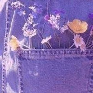 Meet your Posher, Sarah-star